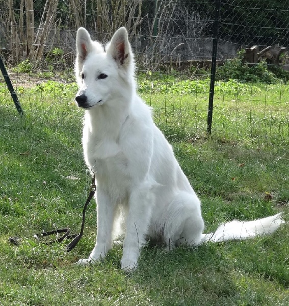 Arwen au Travail